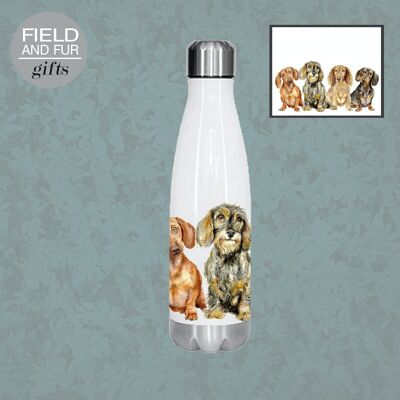 Chums, Dachshunds insulated drinks bottle