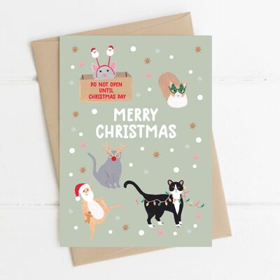 Festliche Weihnachtskarte mit Katzen