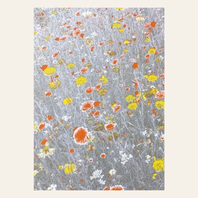 Postcard flower meadow orange