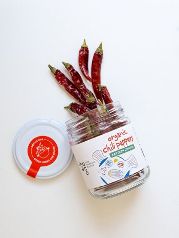 Piments forts - Herbes & épices culinaires biologiques 2