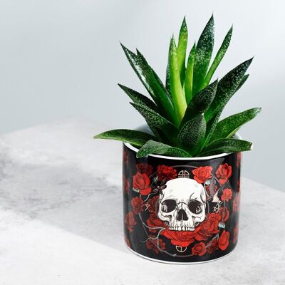 Petit pot de fleurs d'intérieur en céramique Skulls & Roses