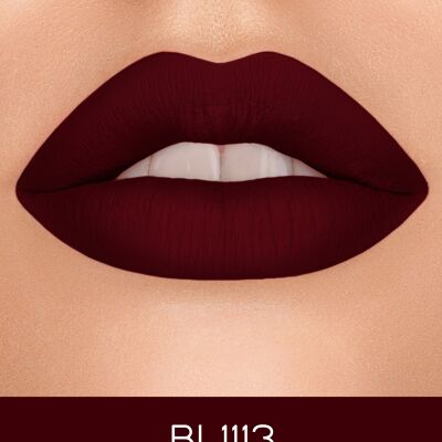 Long lasting moisturizing lipstick 1113