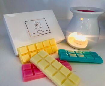 Wax Melts-Millionairess 2