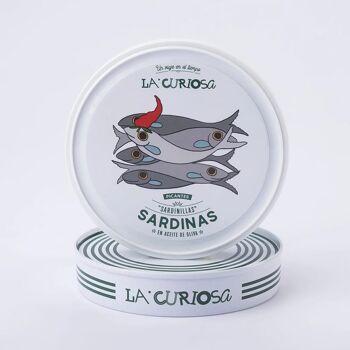 Sardines 10/14 unités à l'huile d'olive épicée, La Curiosa 3