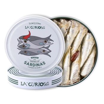 Sardines 10/14 unités à l'huile d'olive épicée, La Curiosa 4