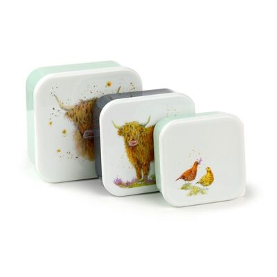 Set of 3 Lunch Box M/L/XL Jan Pashley Highland Coo Cow