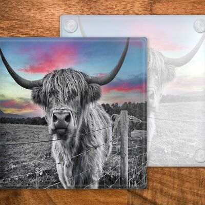 Sottobicchiere in vetro Highland Cow, portabevande, Coo colorato, Scozia, regalo scozzese, regalo Highland Cow