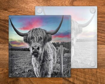 Sous-verre en verre de vache Highland, porte-boissons, coloré Coo's, Ecosse, cadeau écossais, cadeau de vache Highland 1