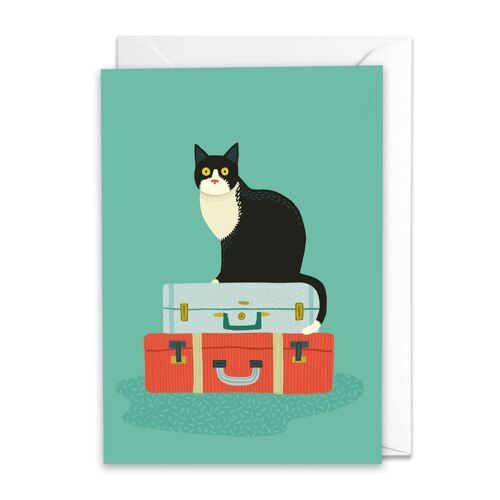 Cat on a suitcase A6 Card