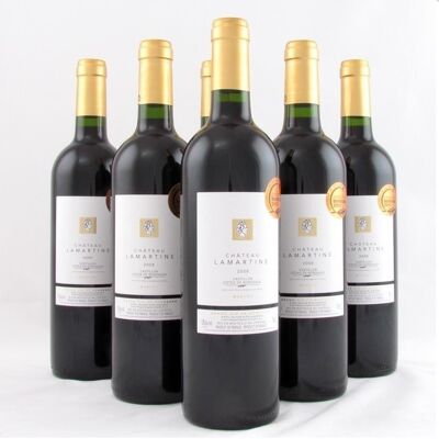 Château Lamartine 2021 - Castillon Côtes de Bordeaux 75cl