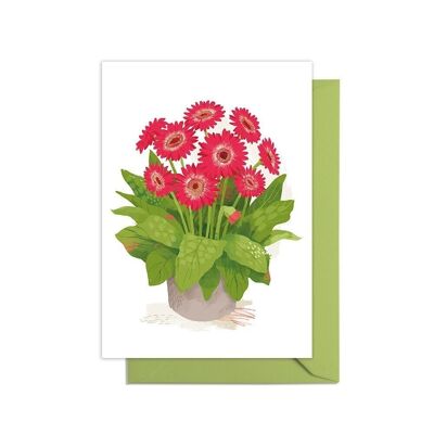 Carte Gerbera Cultivez votre propre plante en pot