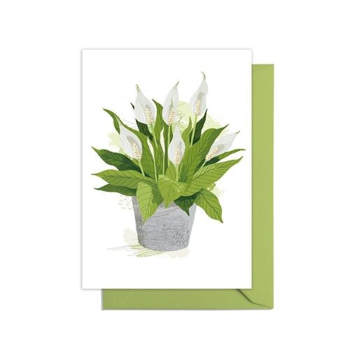 Peace Lily Grow Your Own Pot Plant Card