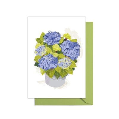 Hydrangea Grow Your Own Pot Plant Card