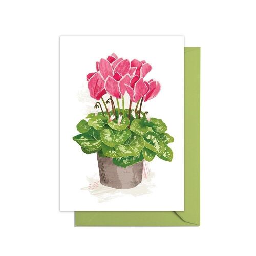Cyclamen Grow Your Own Pot Plant Card