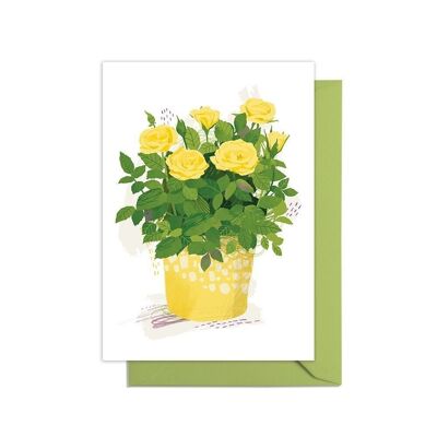 Carta per coltivare la tua pianta in vaso di rose