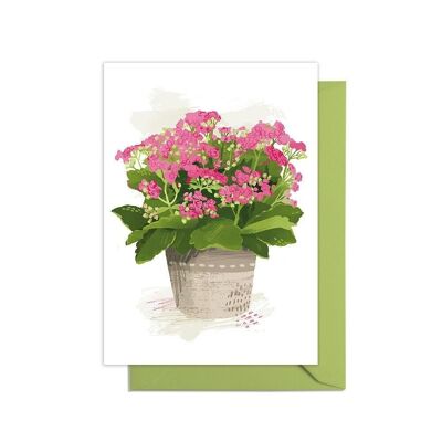 Kalanchoe Grow Your Own Pot Plant Card