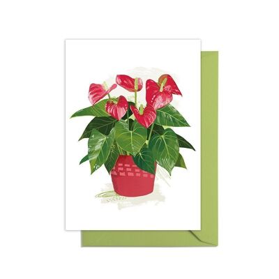 Anthurium Grow Your Own Pot Plant Card