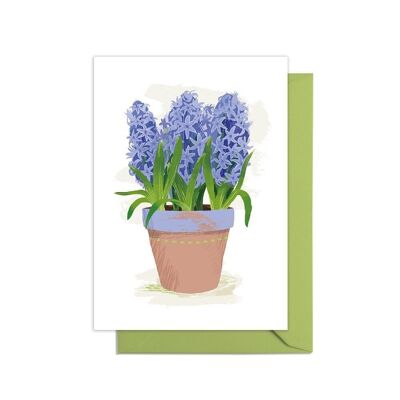 Hyacinth Grow Your Own Pot Plant Card