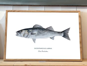 Affiche de poisson le bar, peint à l'acrylique 1