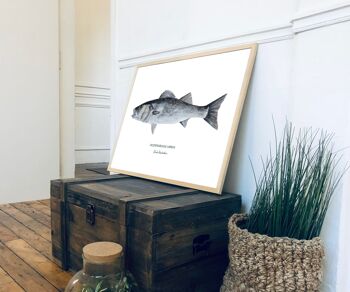 Affiche de poisson le bar, peint à l'acrylique 5