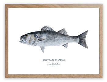 Affiche de poisson le bar, peint à l'acrylique 6