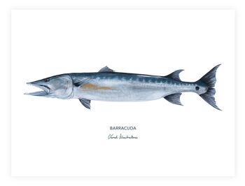 Affiche de poisson exotique le Barracuda peint à l'acrylique 1