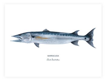 Affiche de poisson exotique le Barracuda peint à l'acrylique 3