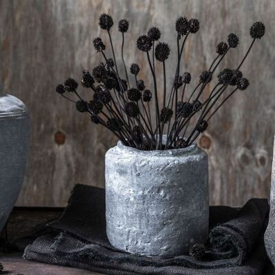 Dried Wild Allium - Artificial Bunch - Abigail Ahern