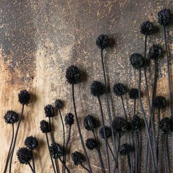 Allium sauvage séché - Bouquet artificiel - Abigail Ahern 3