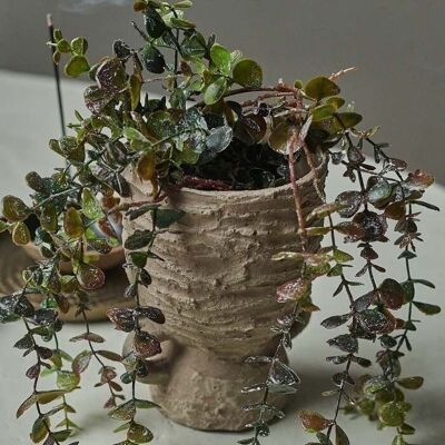 Trailing Eucalyptus Branch - Artifical Stem - Abigail Ahern