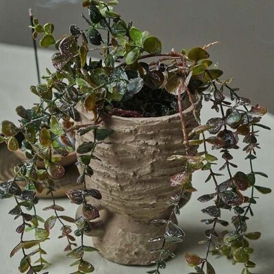 Branche d'eucalyptus traînante - Tige artificielle - Abigail Ahern
