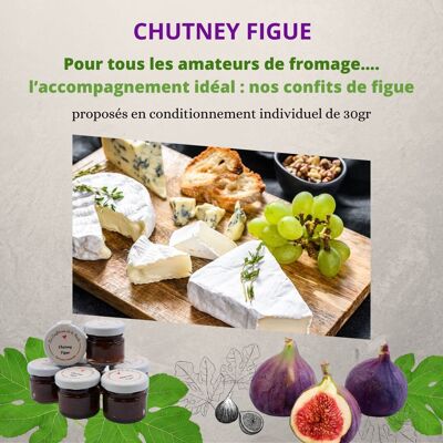 Chutney Figue 30gr (NOEL)