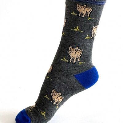 Willem Pig Bamboo Socks - Grey