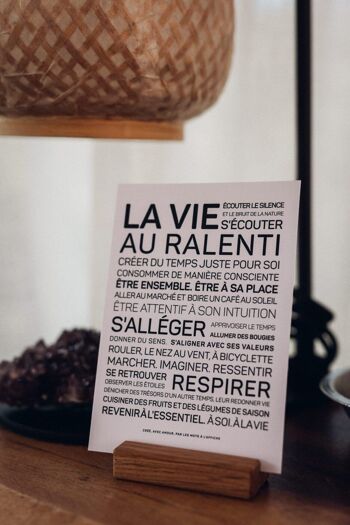 Affiche La vie au ralenti (A2, A3, A4, A5, mini) 5