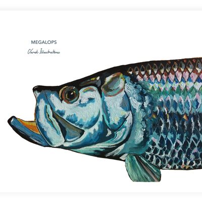 Cartel de pez sábalo pintado en acrílico