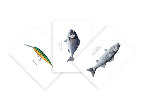 Lot de 15 cartes de vœux en papier d'art représentant chacune un poisson peint à l'accrylique - idée cadeau déco