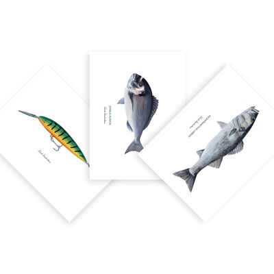 Set mit 15 Kunstdruckpapier-Grußkarten, die jeweils einen mit Acryl bemalten Fisch darstellen – dekorative Geschenkidee