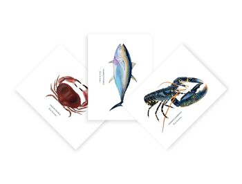 Lot de 15 cartes de vœux en papier d'art représentant chacune un poisson peint à l'accrylique - idée cadeau déco 2