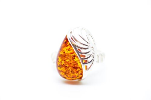 Shell Frame Amber Ring