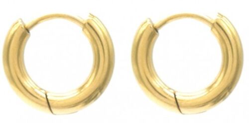 J-D3.1 E015-003G S. Steel Earrings 12mm Gold