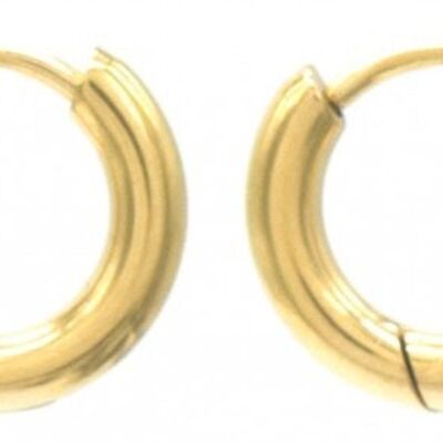 J-D3.1 E015-003G S. Boucles d'Oreilles Acier 12mm Doré