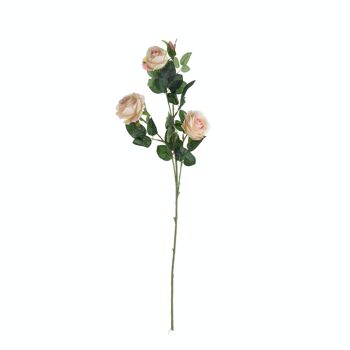 Branche de rose à 4 têtes, longueur : 64,5 cm - Champagne
