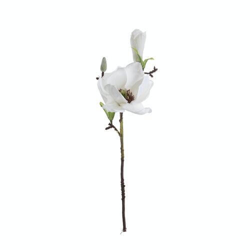 Magnolia branch, length: 37cm - White
