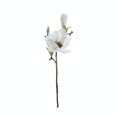 Magnolia branch, length: 37cm - White