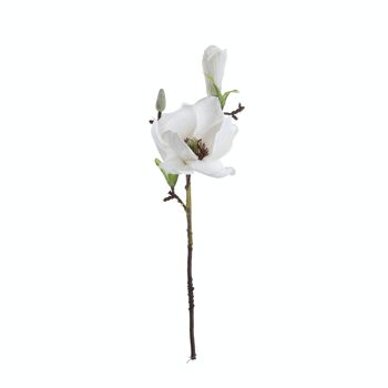 Branche de Magnolia, longueur : 37cm - Blanc