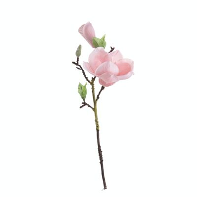 Branche de Magnolia, longueur : 37cm - Rose