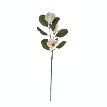 Branche de Magnolia, longueur : 75cm - Blanc