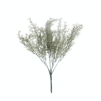 Arbusto de salvia de California, largo: 31 cm