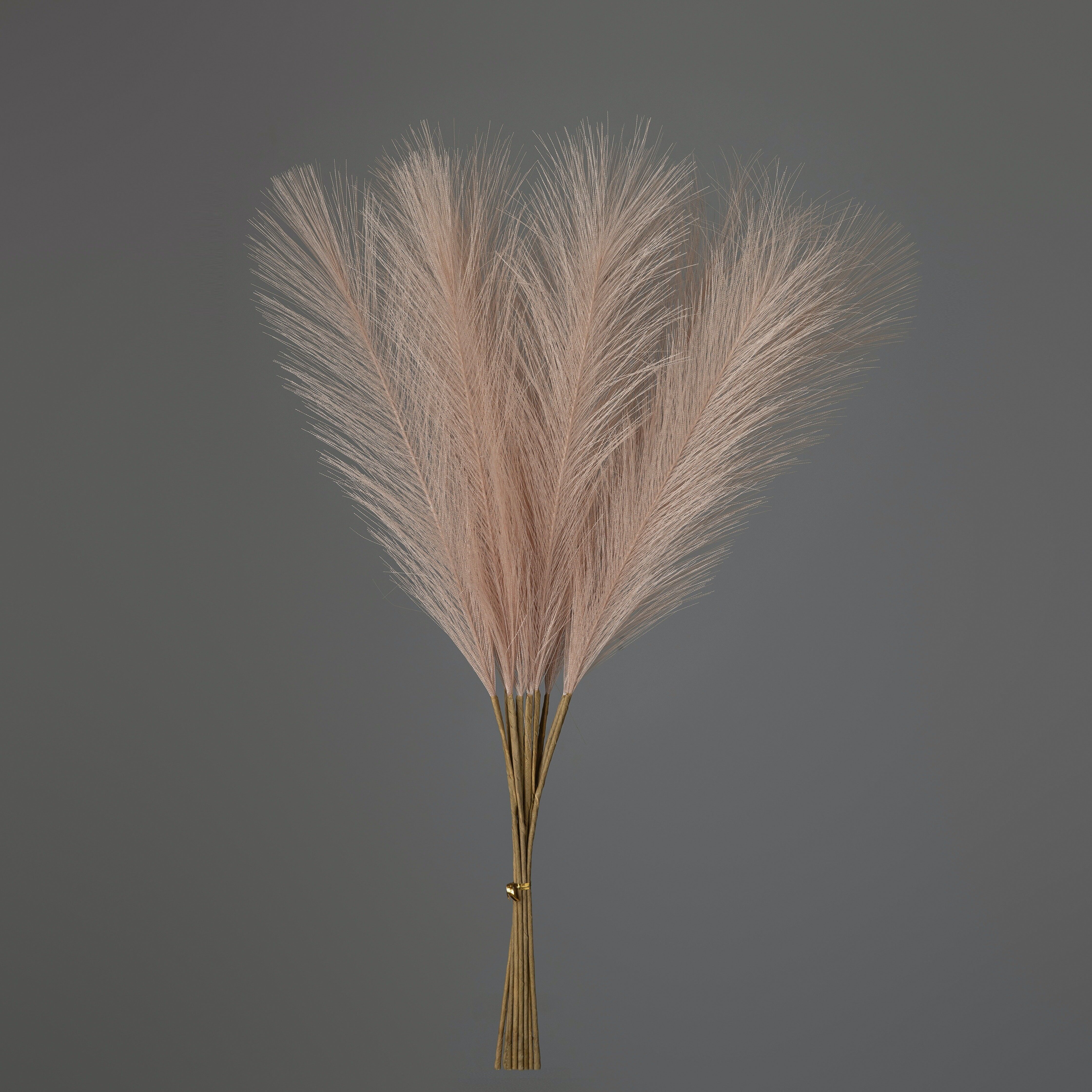 Bündel künstliches Pampasgras, 10 Stränge, Länge: 56,6 cm – Puderbeige