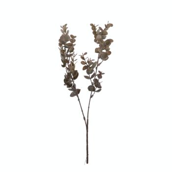 Branche d'eucalyptus artificielle, 38cm de long - Crème